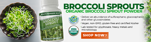 Organic Broccoli Sprouts Powder and Capsules