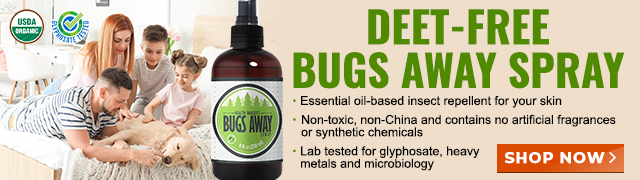 Bugs Away Spray