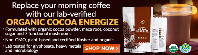 Groovy Bee Organic Cocoa Energize