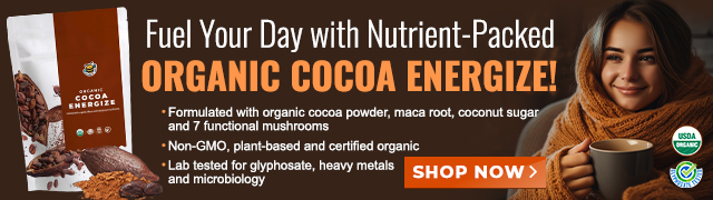 Groovy Bee Organic Cocoa Energize