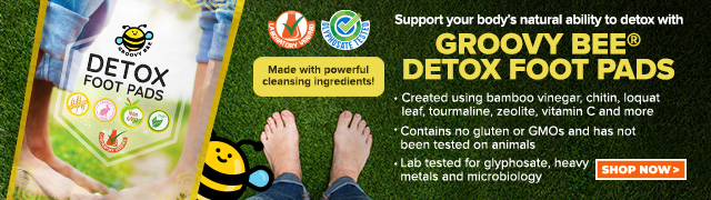 Groovy Bee Detox Foot Pads