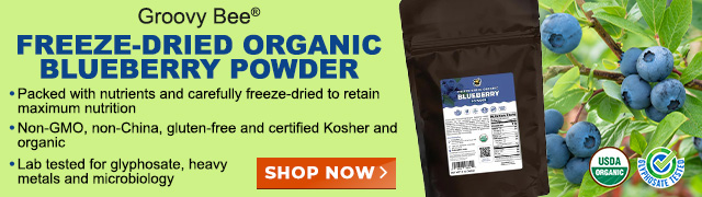 Freeze-Dried Organic Blueberry Powder