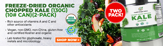 Freeze-Dried Organic Chopped Kale