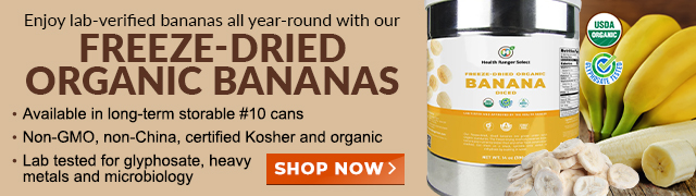 Freeze-Dried Organic Banana - 10 Can