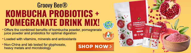 Groovy Bee Kombucha Probiotics plus Pomegranate Drink Mix