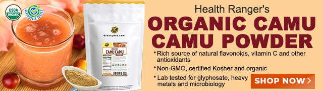 Groovy Bee Organic Camu Camu Powder