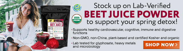 Groovy Bee Organic Freeze-Dried Beet Juice Powder