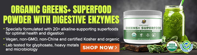 Groovy Bee Organic Greens+ Superfood Powder with Digestive Enzymes