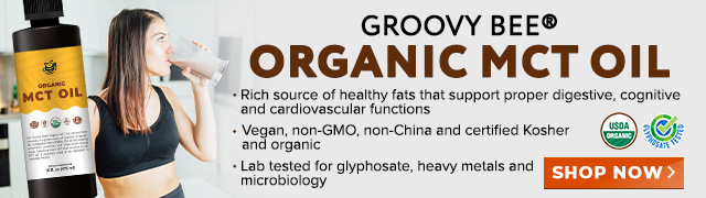 Groovy Bee Organic MCT Oil