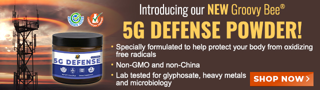 Groovy Bee 5G Defense Powder