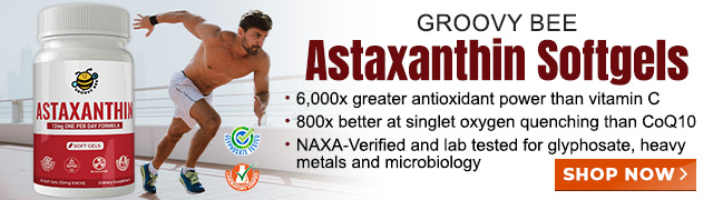 Groovy Bee - Astaxanthin