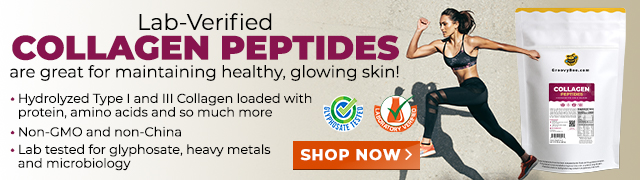 Groovy Bee Collagen Peptides