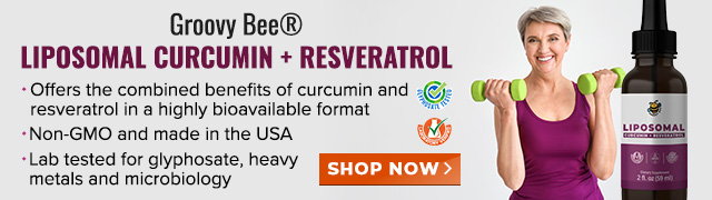 Groovy Bee Liposomal Curcumin Plus Resveratrol