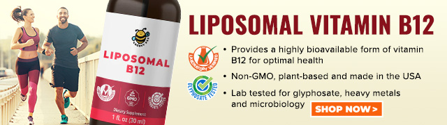 Groovy Bee Liposomal Vitamin B12