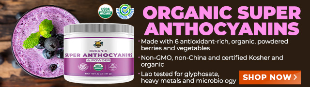 Groovy Bee Organic Super Anthocyanins