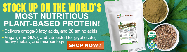 Organic Hemp Protein Powder