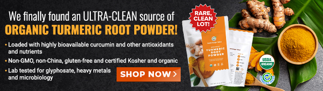 Turmeric Root Powder