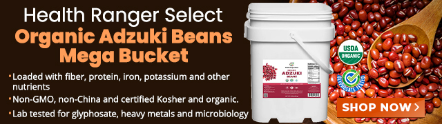 Mega Bucket - Organic Adzuki Beans