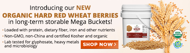 Mega Bucket - Organic Hard Red Wheat Berries