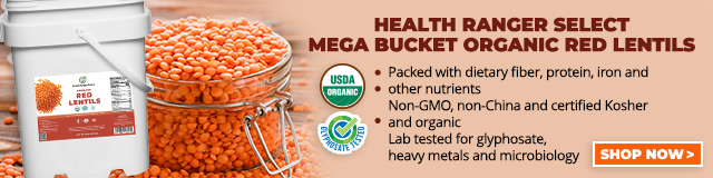 Mega Bucket - Organic Red Lentils