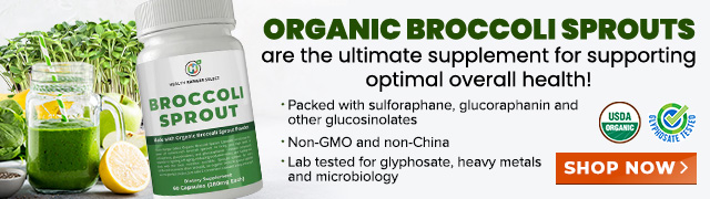 Organic Broccoli Sprouts Powder and Capsules