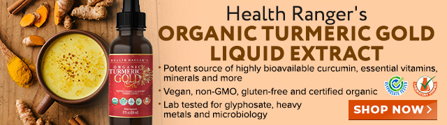 Organic Turmeric Gold Liquid Extract