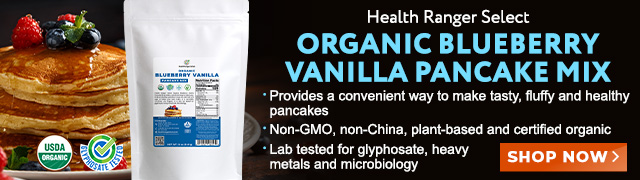 Organic Blueberry Vanilla Pancake Mix