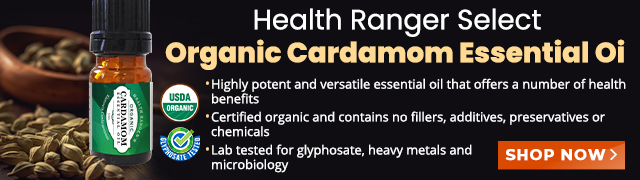 Organic Cardamom Essential Oil