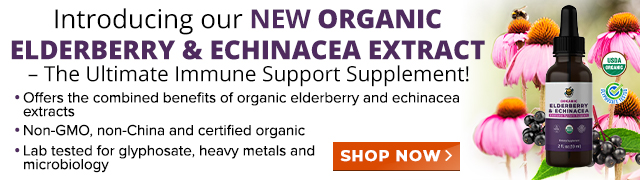 Organic Elderberry and Echinacea