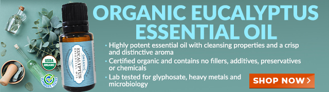 Organic Eucalyptus Essential Oil