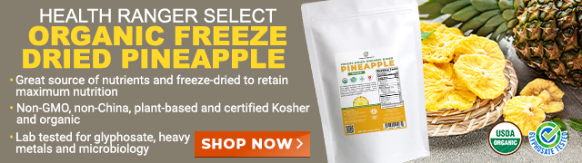 Organic Freeze Dried Pineapple