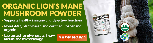 Organic Lion's Mane Mushroom Powder