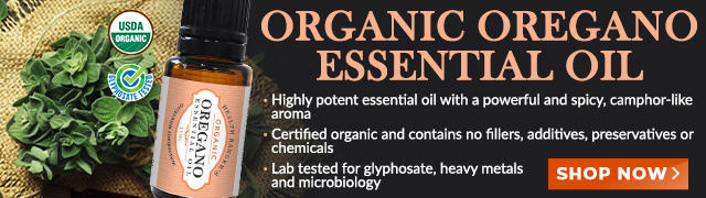 Organic Oregano Essential Oil