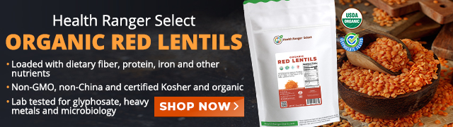 Organic Red Lentils