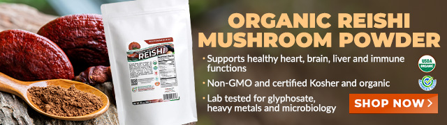 Organic Reishi Mushroom Powder