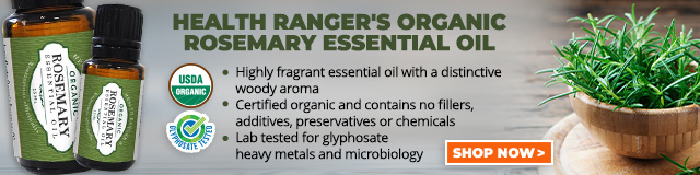 Organic Rosemary Essential Oil