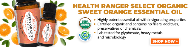 Organic Sweet Orange Essential Oil