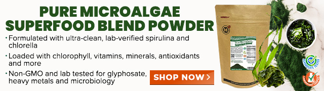 Pure Microalgae Superfood Blend Powder