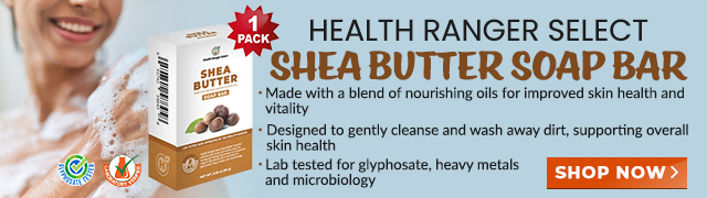 Shea Butter Soap Bar