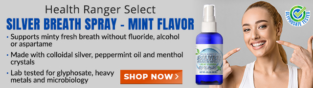 Silver Breath Spray - Mint Flavor