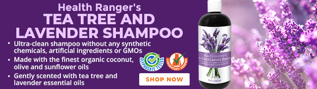 Tea Tree and Lavender Shampoo