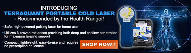 TerraQuant Portable Cold Laser