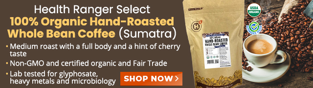 Organic Hand-Roasted Whole Bean Coffee - Sumatra