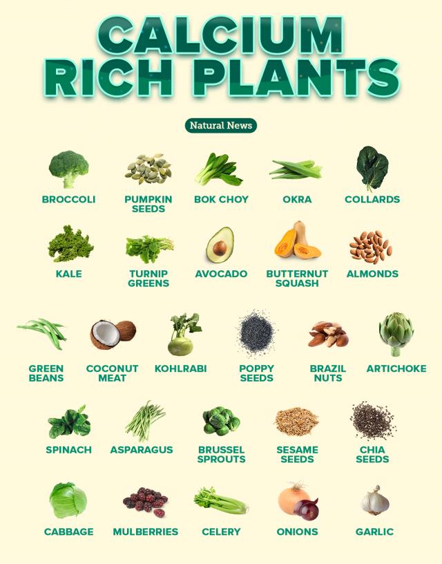 Calcium Rich Foods