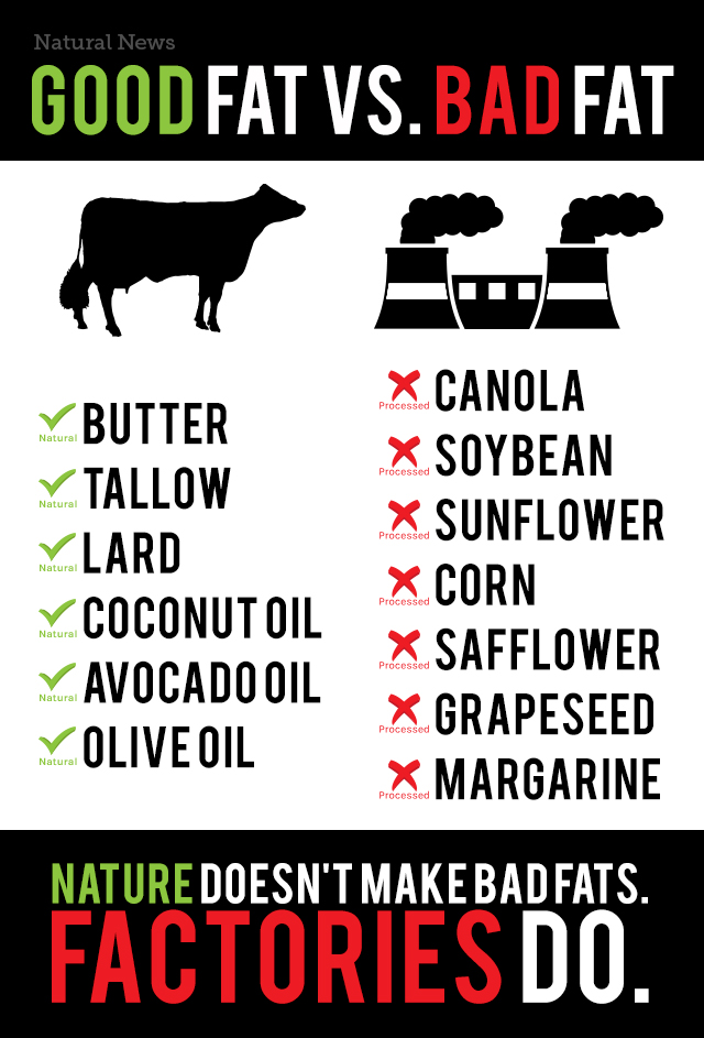 good-fat-vs-bad-fat