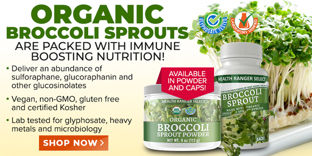 Broccoli Sprout Powder and Capsules