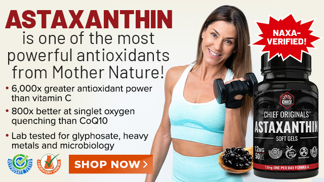 Chief Originals - Astaxanthin