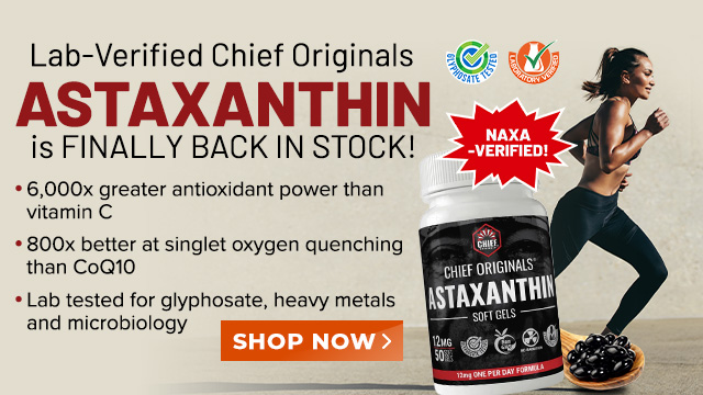 Chief Originals - Astaxanthin