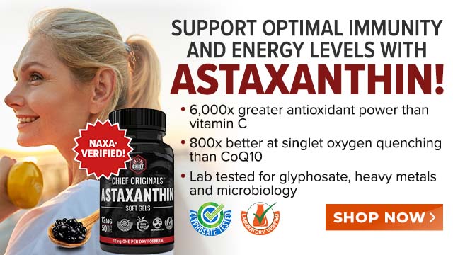 Chief Originals - Astaxanthin