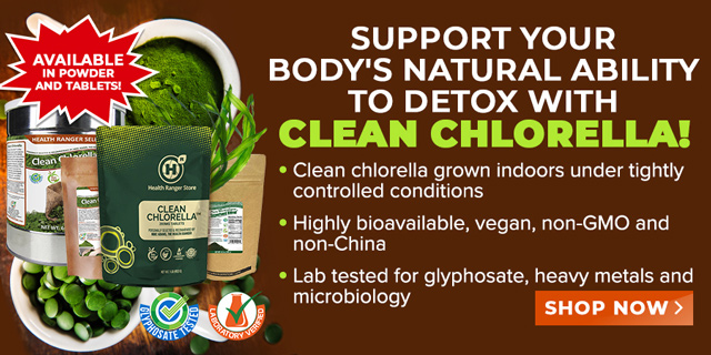 Clean Chlorella Powder and Tablets